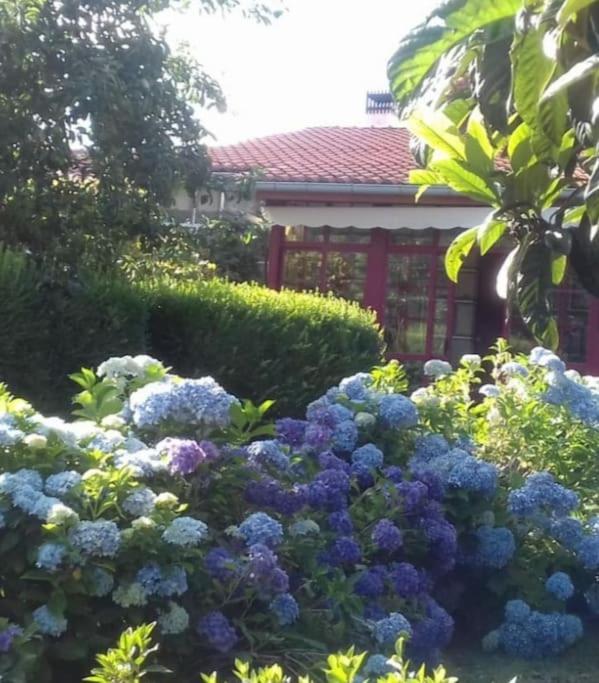 a garden with blue flowers in front of a house at A Casa do Buxo in Casardeita