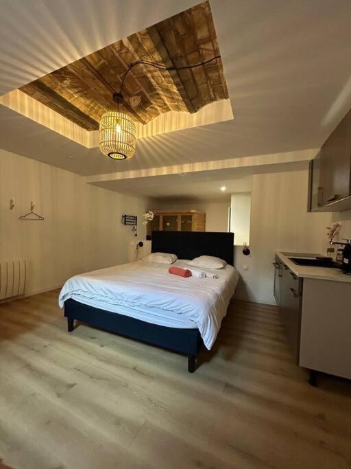 une chambre avec un grand lit et une cuisine dans l'établissement CELLAR- Appartement Sous-Sol Atypique, à Reims