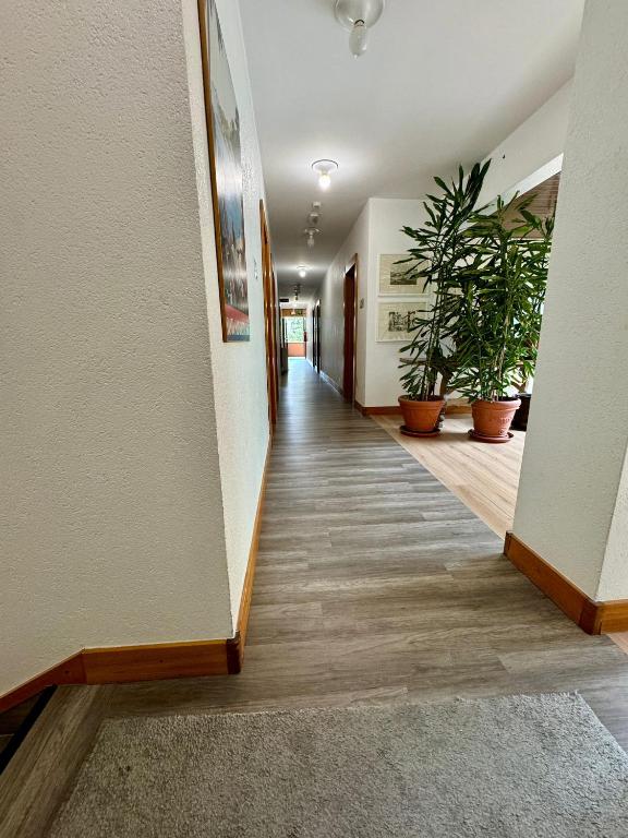 Fotografie z fotogalerie ubytování Hotel Canturio v destinaci Cantu