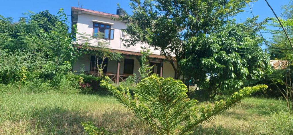 Zahrada ubytování Bardiya Eco Safary Homestay