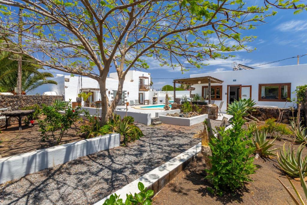 ein Haus mit einem Pool und einem Baum in der Unterkunft Bodega Botanica - Shared Pool - Central Island Location - 10 mins drive to Famara and La Santa in Tiagua