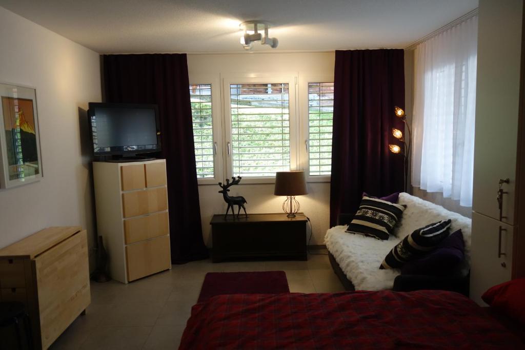 ein Wohnzimmer mit einem Sofa und einem TV in der Unterkunft Studio Collinetta in Zermatt