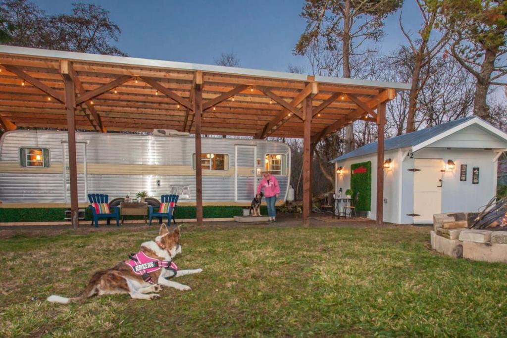 a dog laying on the grass in front of a house at Beach Get Away Fabulous Vintage Trailer in Grayland