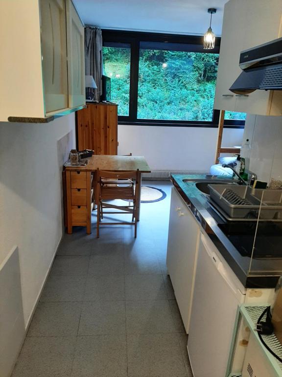 Kuchyň nebo kuchyňský kout v ubytování Studio 19 m2 à louer au Mont-Dore