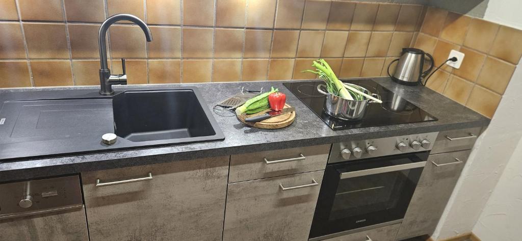 Kuchyň nebo kuchyňský kout v ubytování Chasa Plavna