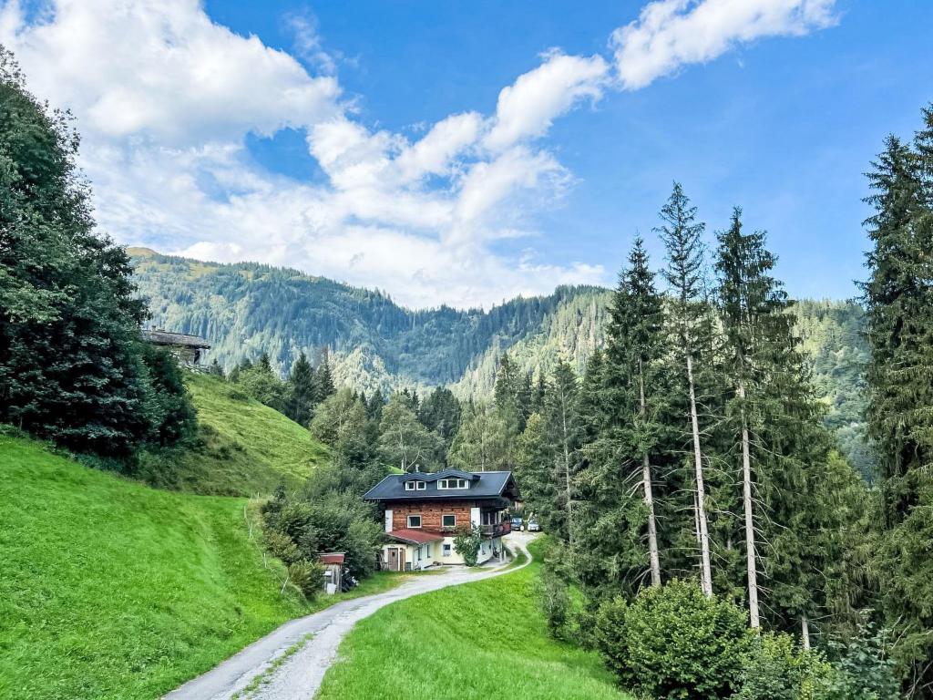 a house on a hill next to a dirt road at Apartment Daniel by Interhome in Hollersbach im Pinzgau