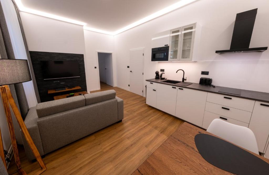 Kuchyň nebo kuchyňský kout v ubytování IT Centrum Apartments