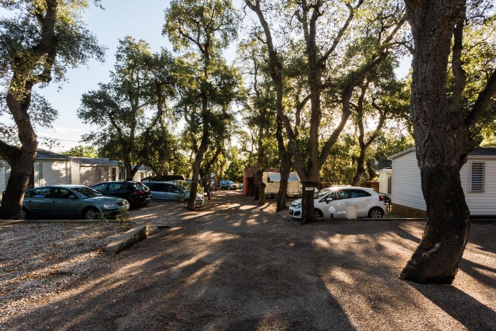 Fotografie z fotogalerie ubytování Camping Des Mimosas v destinaci Argelès-sur-Mer