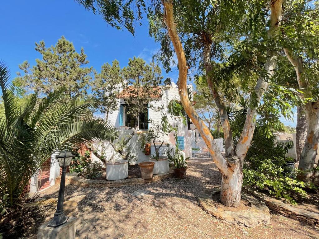 Zahrada ubytování Casa El Torreón