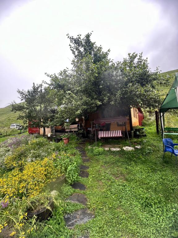 Zahrada ubytování Pirikiti