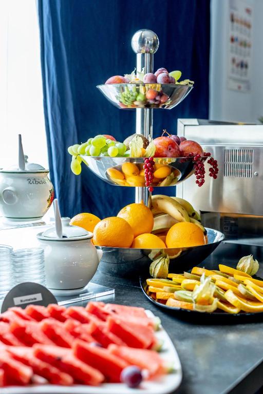 Lenas Donau Hotel - Resim 37