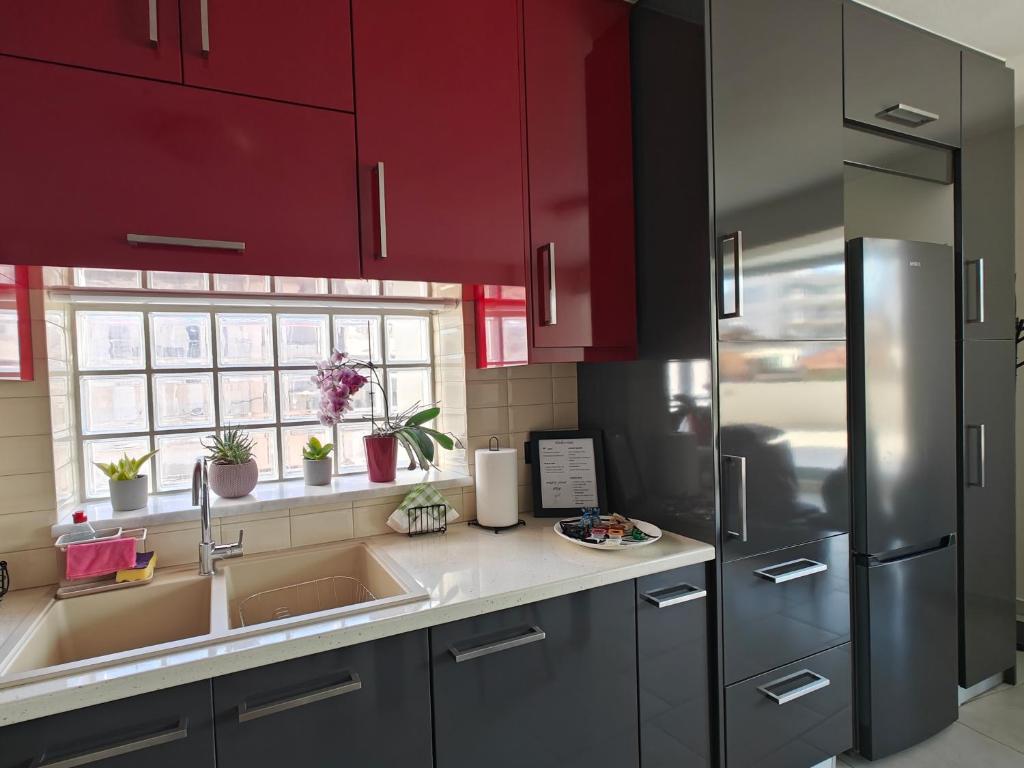 Kuchyň nebo kuchyňský kout v ubytování Orchidea Flat
