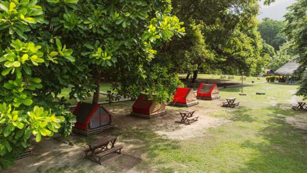 Zahrada ubytování Camping Tequendama - Parque Tayrona