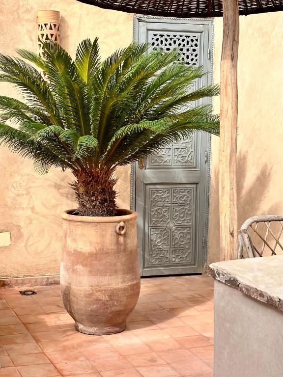 Fotografie z fotogalerie ubytování Riad Hadika Maria v Marrákéši