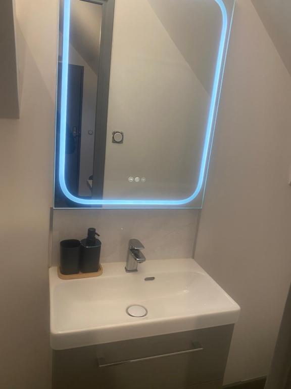 une salle de bain avec un lavabo et un miroir dans l'établissement Appartement climatisé avec jaccuzi, à La Chapelle-Saint-Mesmin