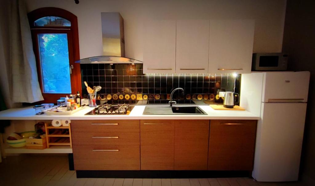 Costa dʼOnegliaにあるCasa Gelsominoのシンクと白い冷蔵庫のあるキッチン