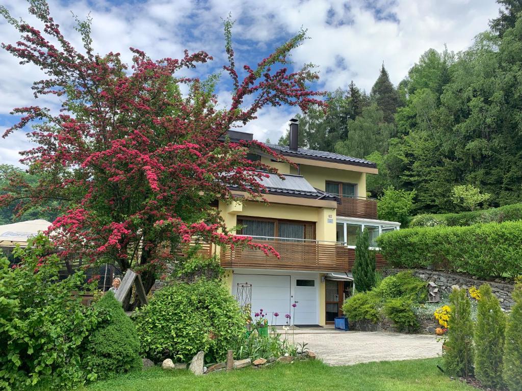 Zahrada ubytování Haus Lasaun