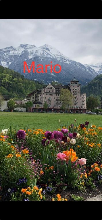 Apartment by Mario - Resim 29