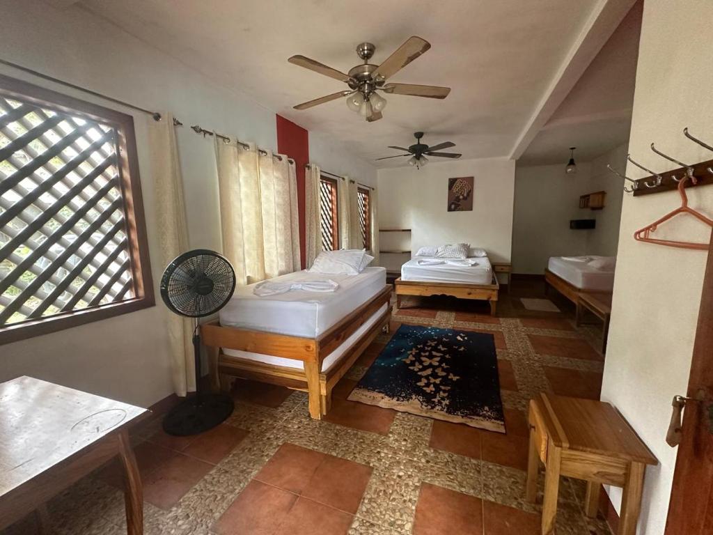 una camera da letto con due letti e un ventilatore a soffitto di Hotel Don Quichotte a Tortuguero