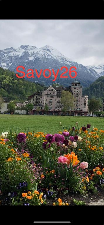 SAVOY 26 - Resim 27