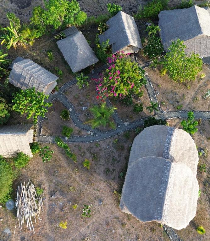 Um jardim no exterior de Tongo Hill Cottages