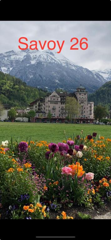 SAVOY 26 - Resim 1