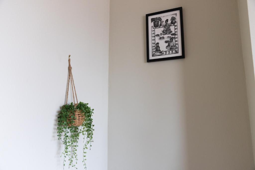 a plant in a pot hanging on a wall at CloudZen in Kent