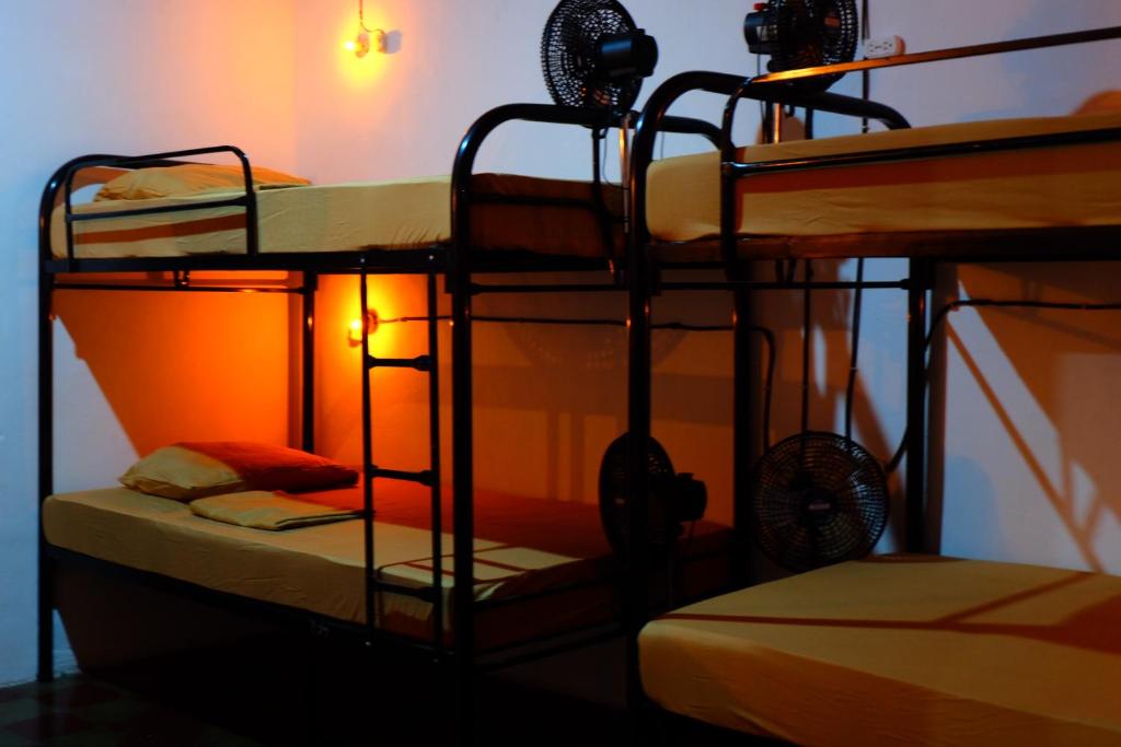 Deakachimba Hostel - Bed In 8-Bed Dormitory Room