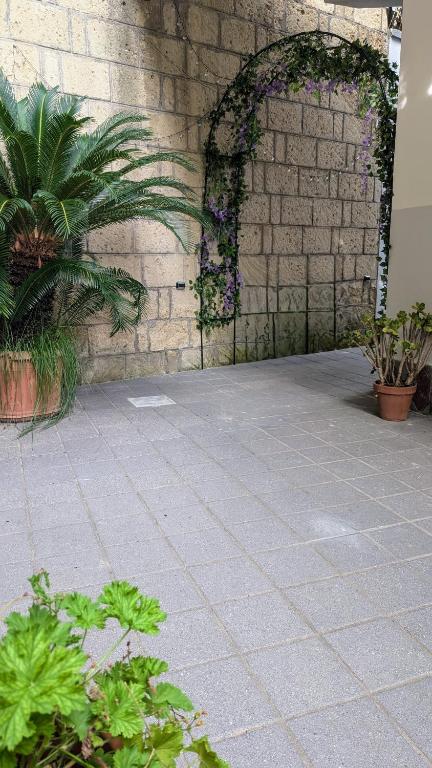 Zahrada ubytování NULA Private Suites