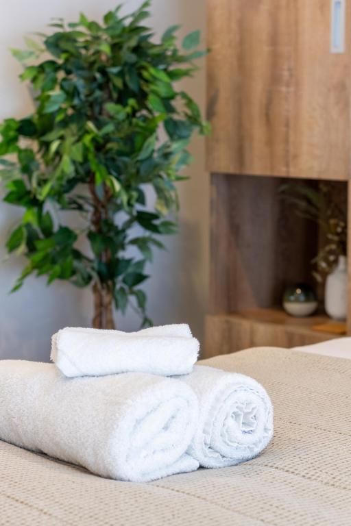 Charming Studio for 2 in the Central City - Resim 3