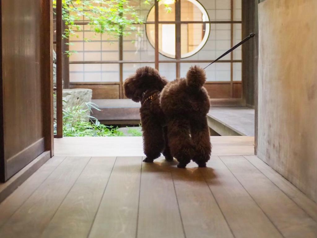 Domácí mazlíčci ubytovaní s hosty v ubytování 古民家の宿宰嘉庵 TraditionalJapaniseHotel Saikaan