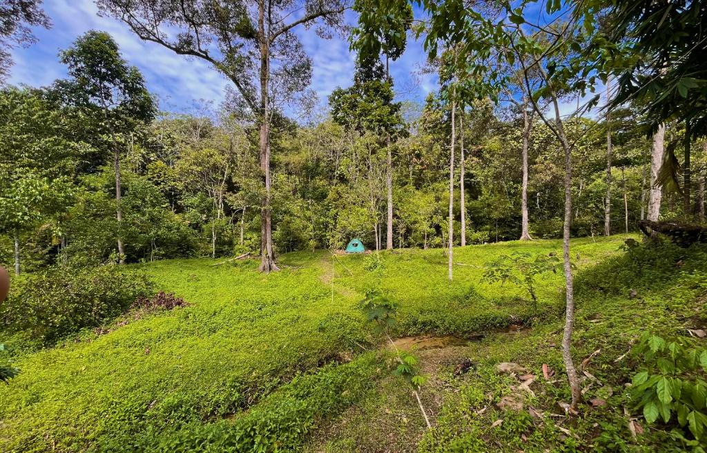 Zahrada ubytování Batu Ridi Jungle