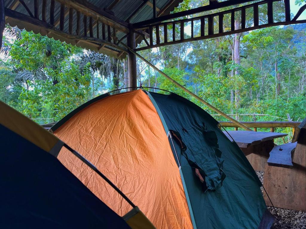 Fotografie z fotogalerie ubytování Batu Ridi Jungle v destinaci Timbanglawang 1
