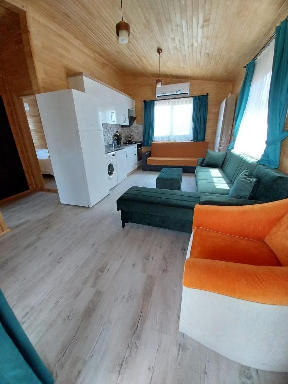 a living room with a couch and a kitchen at Cirali Zambak Villa in Cıralı