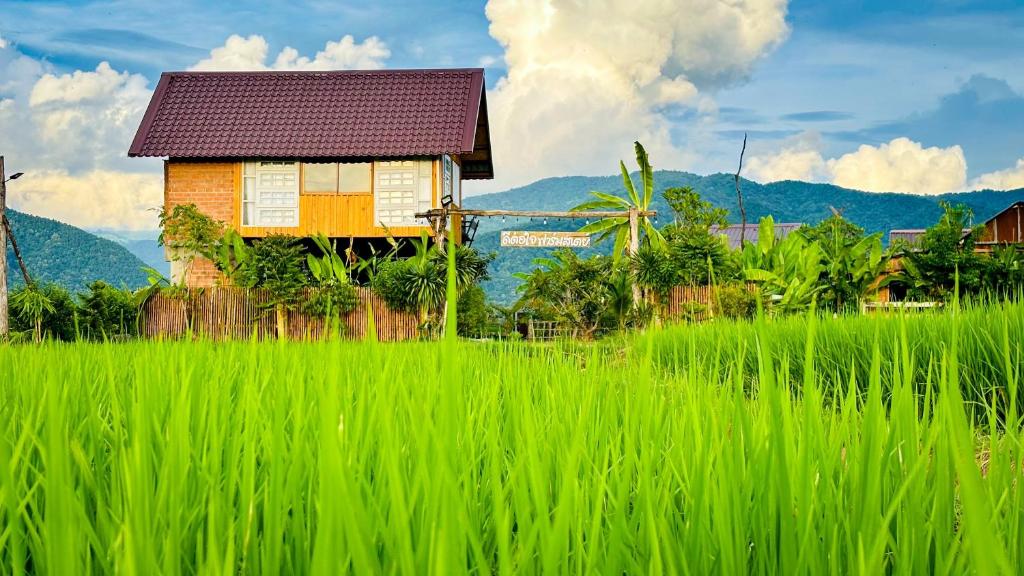 ภูมิทัศน์ธรรมชาติใกล้ฟาร์มสเตย์
