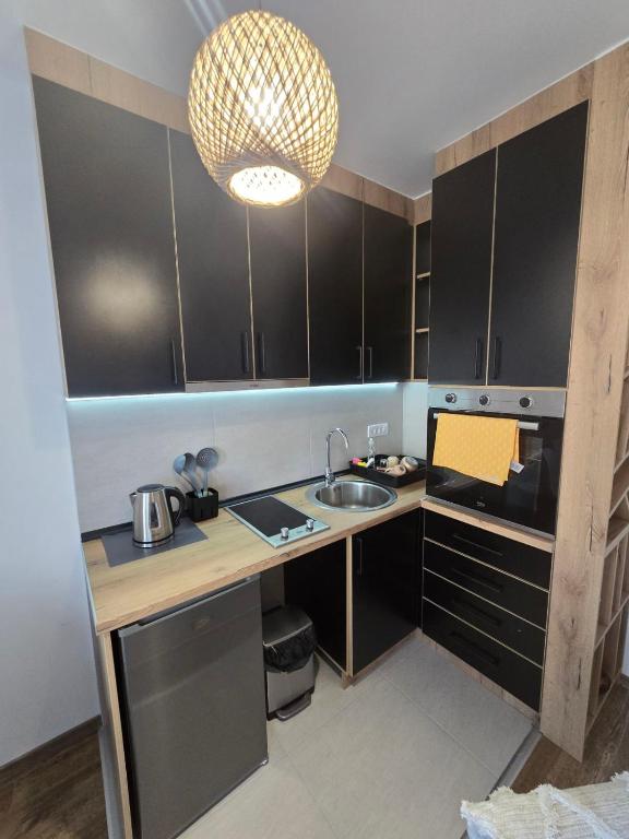 Kuchyň nebo kuchyňský kout v ubytování Apartmani Krunet