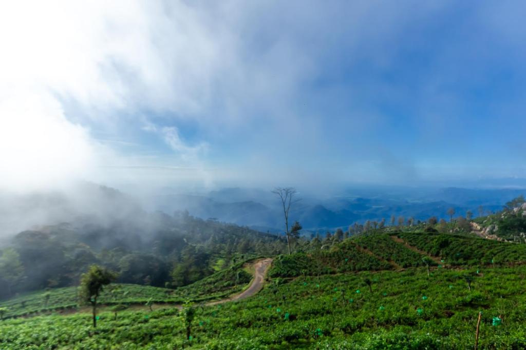 un camino sinuoso en una ladera en las montañas en Leisure Mount Villa, en Haputale
