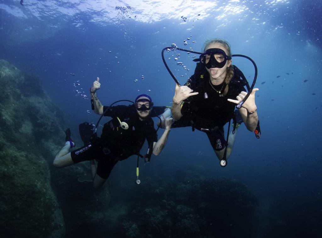 Hosté ubytování Scubadoo house and Diving