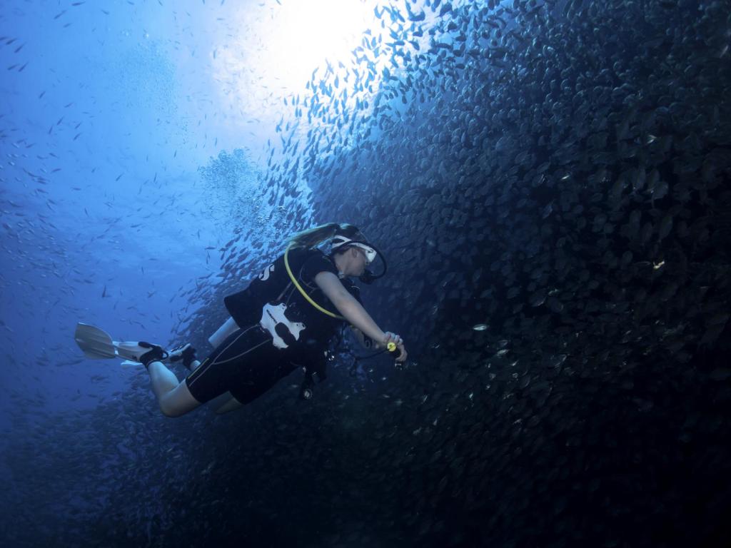 Hosté ubytování Scubadoo house and Diving