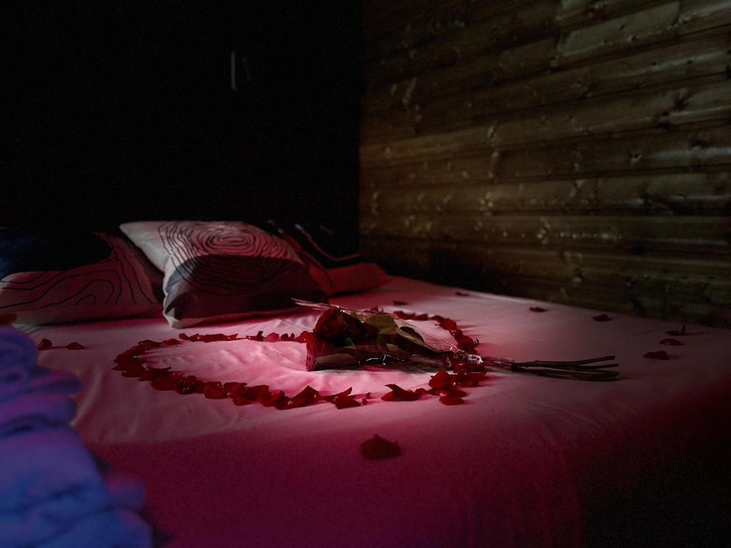 Posteľ alebo postele v izbe v ubytovaní Appart Hotel Spa Perpignan