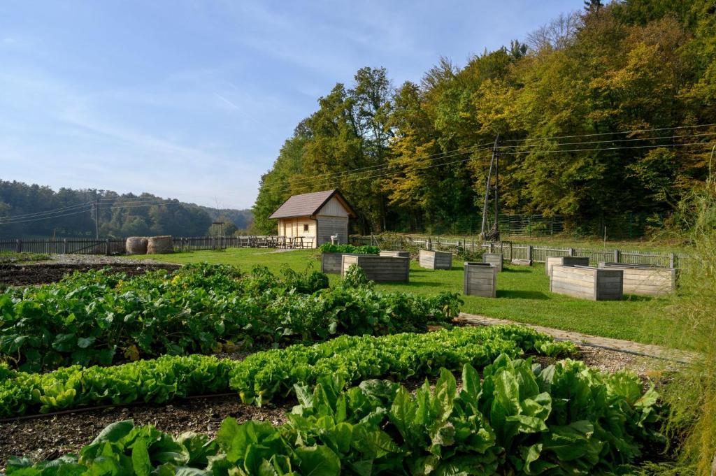 Zahrada ubytování Hotel Grad Otočec - Relais Chateaux