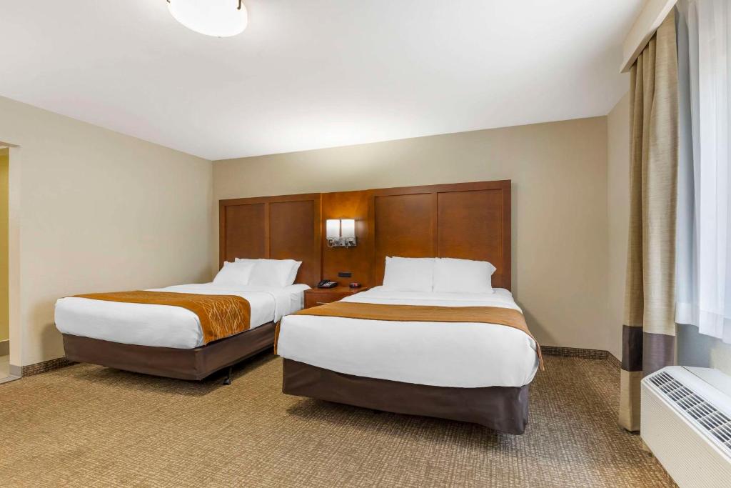 Comfort Inn South - Springfield photo