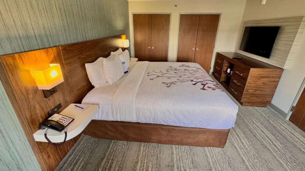 Postel nebo postele na pokoji v ubytování Sleep Inn Oakbrook Terrace - Chicago