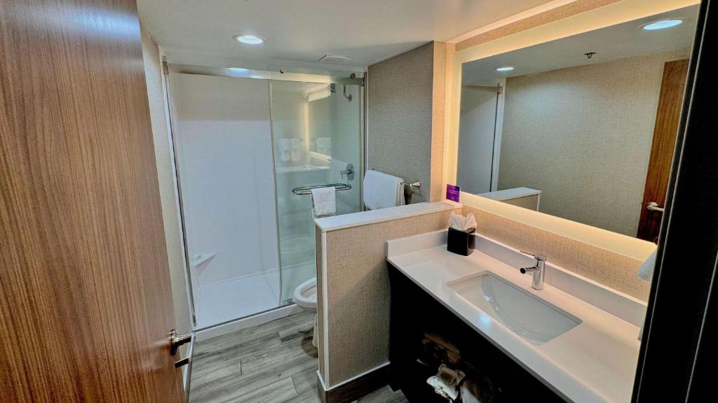 Koupelna v ubytování Sleep Inn Oakbrook Terrace - Chicago
