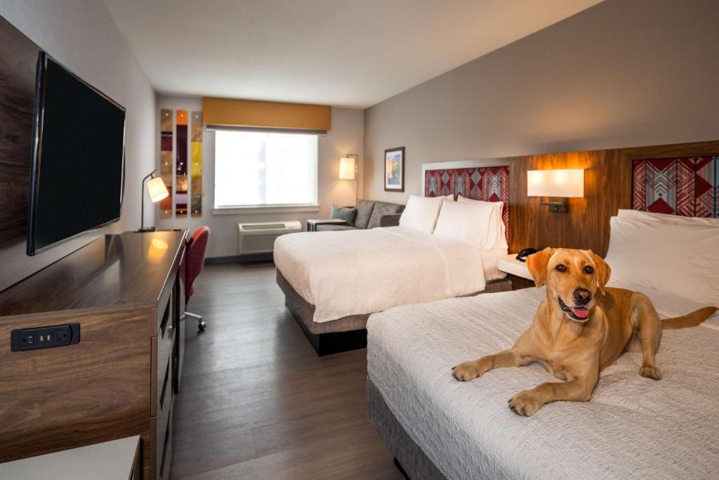 Postel nebo postele na pokoji v ubytování Hampton Inn Pullman