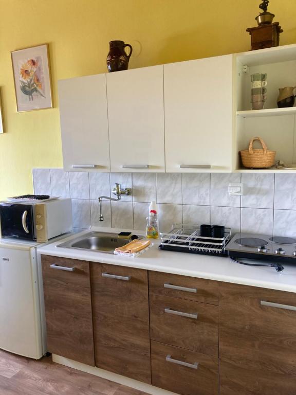 Kuchyň nebo kuchyňský kout v ubytování Penzion u Zdichynců