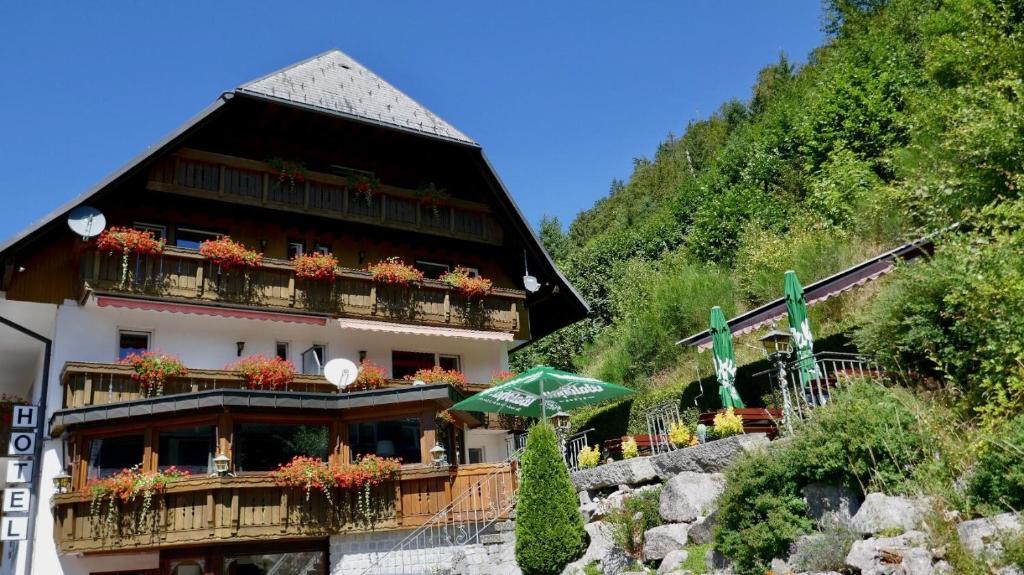 Příroda nedaleko hotelu