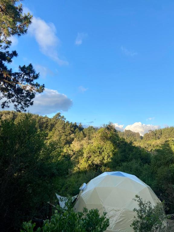 Příroda nedaleko luxury tent