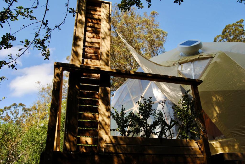 Fotografie z fotogalerie ubytování Soul Forest GeoDome - Off-grid Nature Escape v destinaci Sedgefield