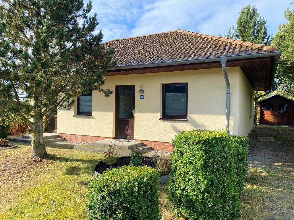 a small house with bushes in front of it at Ferienhaus VogelMeer in Marlow